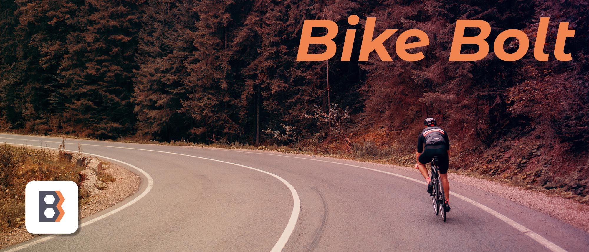 Bike Bolt Banner