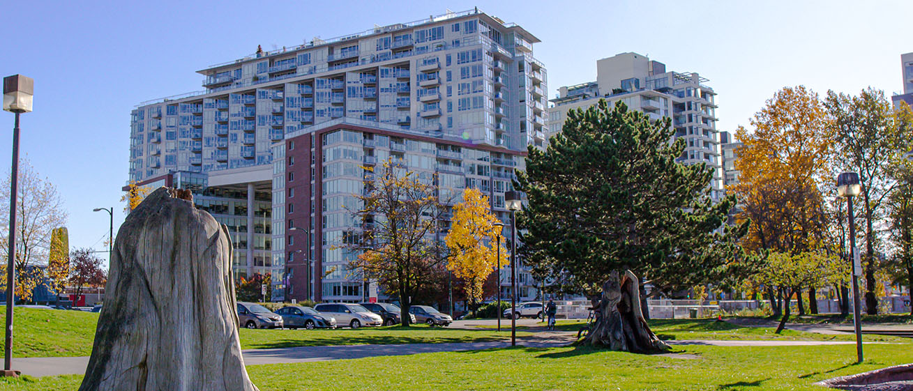 Website Photo